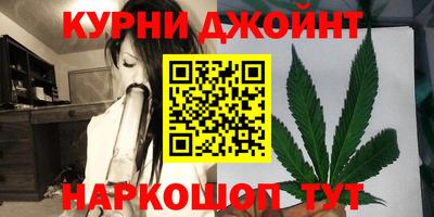 прущие грибы Можайск
