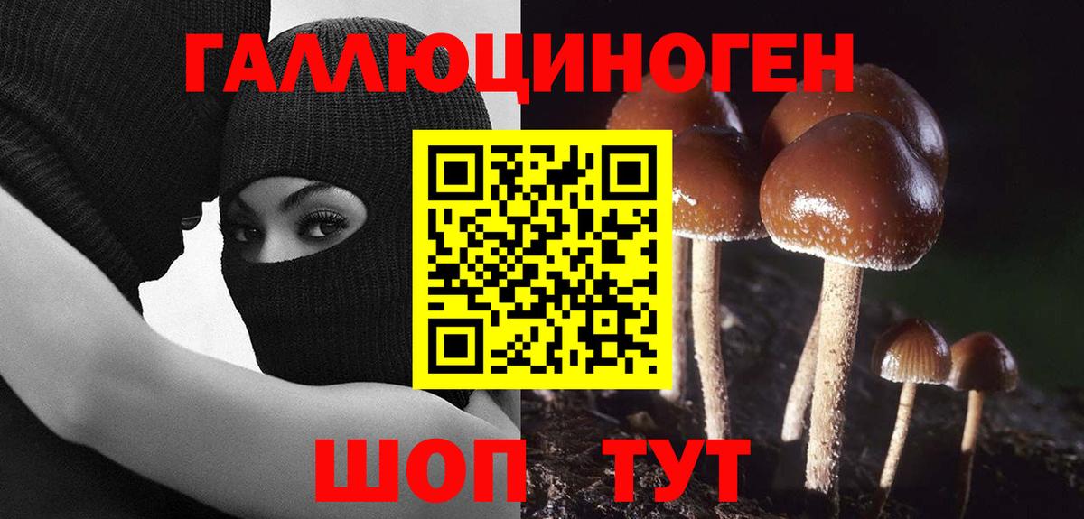 Галлюциногенные грибы прущие грибы  Вход с VPN  Губкин 
