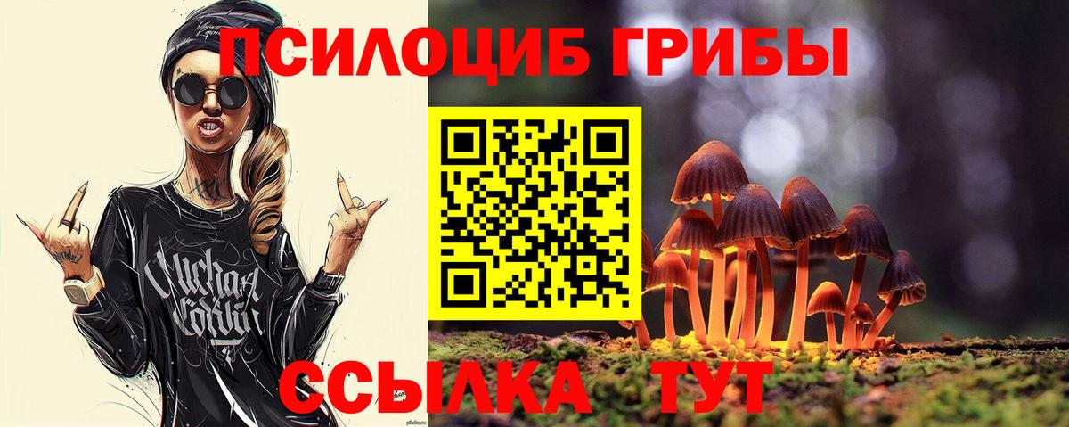 Псилоцибиновые грибы Cubensis Губкин